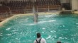 Zoo 2011 (446)